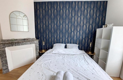 Tarbes Apartment | Le Nordique - 2 chambres - Fibre Wifi - Netflix - Ménage inclus