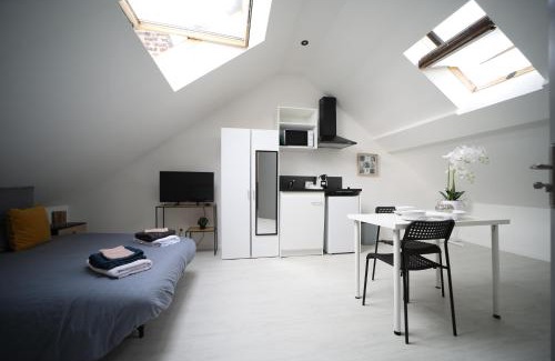 Cambrai Apartment | Le Péronne-5
