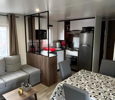 Condrieu Ski Chalet | Le Paradis du Rhône - mobilhome moderne et confortable