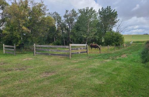 Muzy House | Le petit nid de Muzy