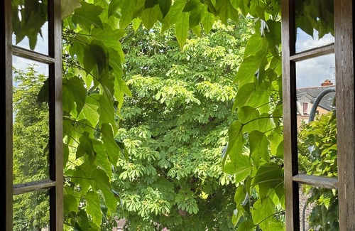 Downtown Angers Apartment | "Le Petit Tinténiac" cosy T2 in the heart of the Doutre district