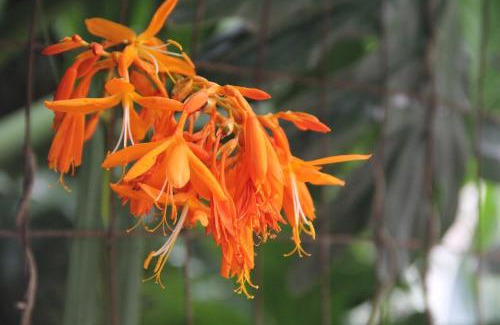 Kloof House | Le Residence de Josephine