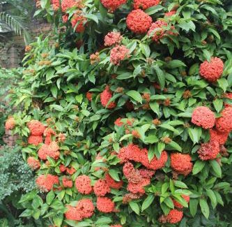 Kloof House | Le Residence de Josephine