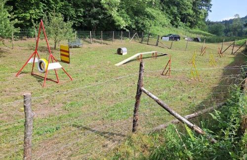 Montagnaga Apartment | Le Rondini di Casa Bernardi, for Pet Lovers con Area Cani privata