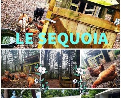 Saint-Sebastien-sur-Loire Apartment | Le séquoia