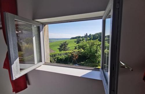 Hautvillers House | Le Sarment - HAUTVILLERS