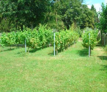 Eymet House | Le Taruquet