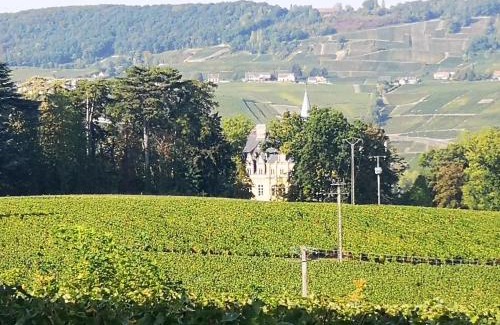 Boursault House | Le Temps d une Pause à Boursault