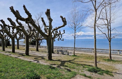 Thonon-les-Bains Apartment | Le Thermal