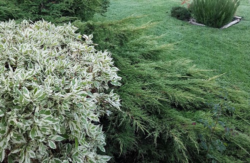 Aix-en-Issart House | Le Touquet charming house.For 8 people