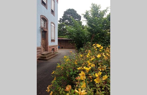 Bouxwiller Apartment | Le tribunal du bon samaritain