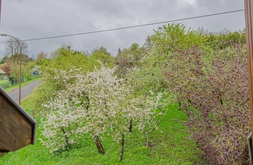 Clerey House | Le Verger de Lulu - CLEREY