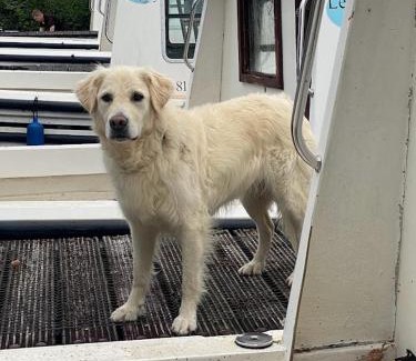 Carrick-on-Shannon House | Leitrim Quay - Riverside Cottage 7