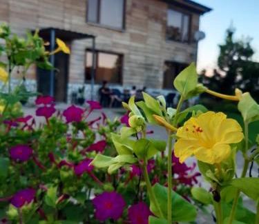 Salkhino Apartment | Lellia