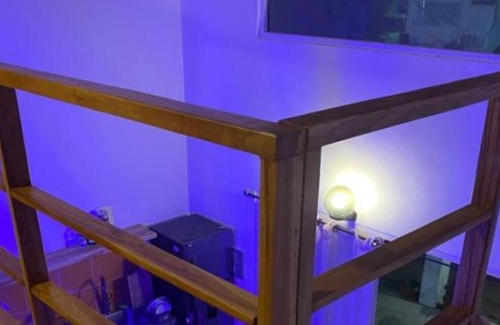 Panama House | Lemon House 2