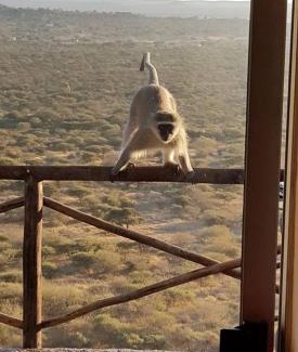 Serowe Cabin | Lentswe Lodge