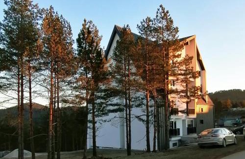 Divcibare Apartment | Leona C2 Apartment - Divčibare