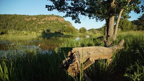 Vaalwater Cabin | Leopards Rock Bush Boutique
