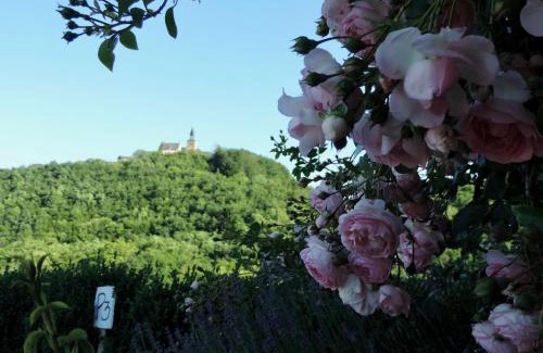 Bar Bed & Breakfast | Les 5 Petits Lapins