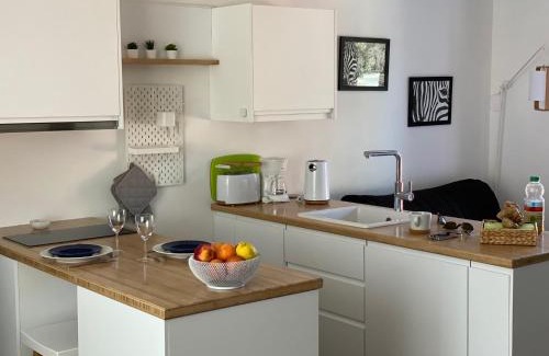 Uzes House | Les cèdres