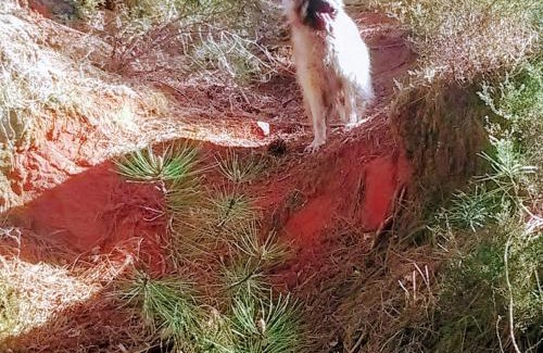 Villars Bed & Breakfast | Les Granges