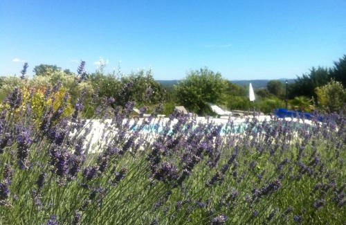 Cotignac Bed & Breakfast | LES GRIVES