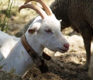 Ancelle Apartment | Les Hauts Des Auches