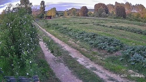 Le Thoronet House | Les Jardins de Castelange