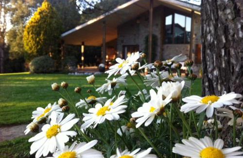 Seva House | Les Margarides