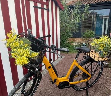 Saint-Trojan-les-Bains House | LES MIMOSAS