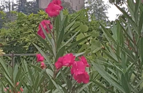 Cremieu Bed & Breakfast | Les Nuances de Mélis'