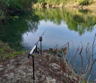 Magnicourt House | Les pieds dans L'aube