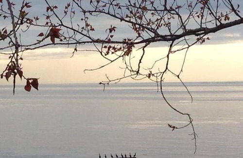 Pointe-au-Pic Bed & Breakfast | Les Pinsons des Rives