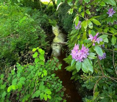 Ploeuc-l'Hermitage Bed & Breakfast | Les Reflets Roz