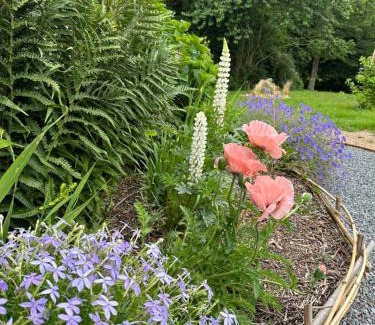 Ploeuc-l'Hermitage Bed & Breakfast | Les Reflets Roz