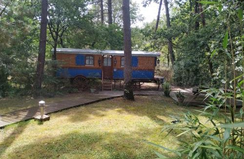 Leognan House | Les roulottes Vesta