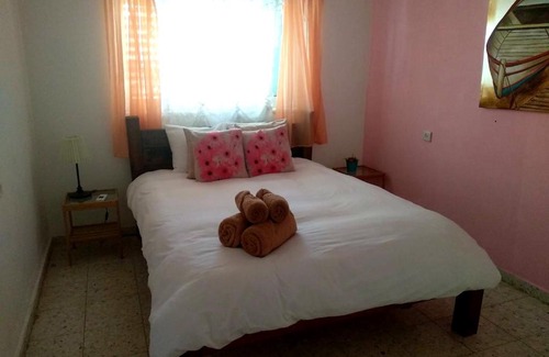 Arad Apartment | LeSaNel Guest House 1