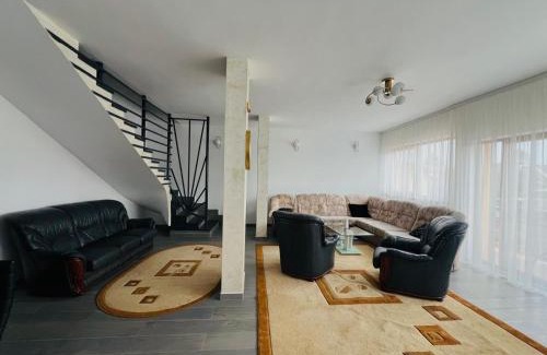 Timisoara Villa | Levi Home 130