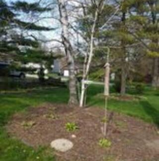 Lake in the Hills House | LH Guest house