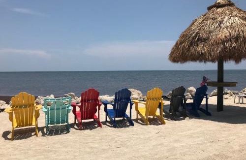 Key Largo Apartment | LICENSED MGR - MODERN OCEANFRONT CONDO! BEAUTIFUL OCEAN VIEWS! BEACH RESORT! 2 KING BEDs!