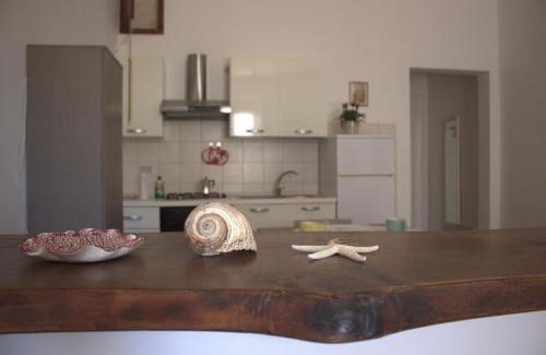 Lido Conchiglie Apartment | Lido dei Miracoli