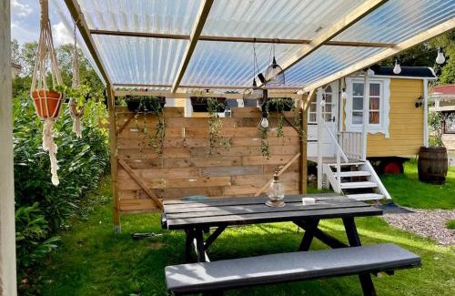 Luttelgeest House | Liefdevolle pipowagen met hot tub en beamer