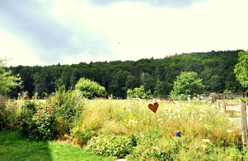 Betzenstein Apartment | Light-flooded apartment in the Franconian Switzerland nature park and resort