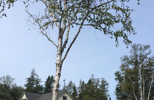 Bass Harbor House | Lighthouse Cottage Borders Acadia National Park. Family & Pet Friendly