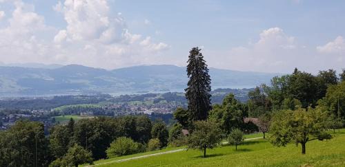 Ruti House | like home