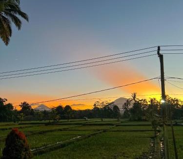 Taro House | Lila Sari Guest House Rom Only