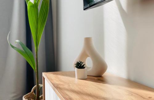 Siauliai City Center Apartment | LilHouse Apartment in Siauliai Center