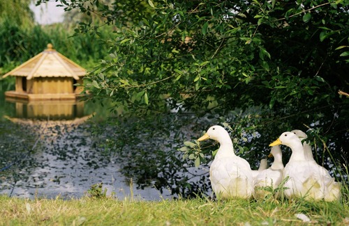 Redmile Cottage | Lillie's Shepherds Hut at Shepherds Lodge