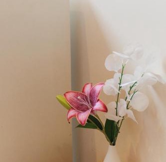 Rawai Villa | Lilly Villa - 2 Bedrooms Villa with Private Pool