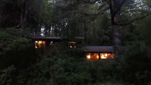 Neltume House | Linda Cabaña en Reserva HuiloHuilo